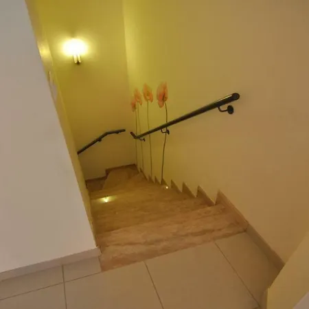 Confort Ev Milleni